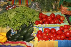 A mouthwatering selection of salad fixins from Sejah Farms.